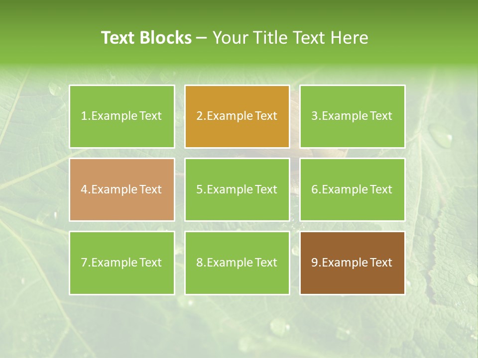 Snail On A Leaf PowerPoint Template