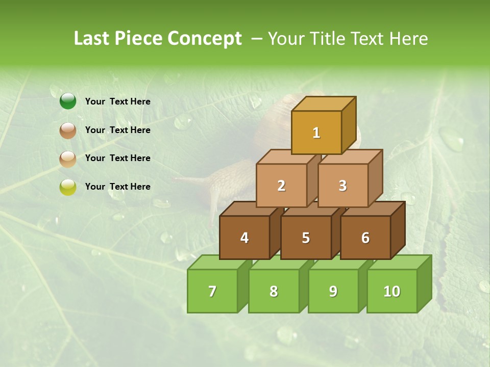 Snail On A Leaf PowerPoint Template