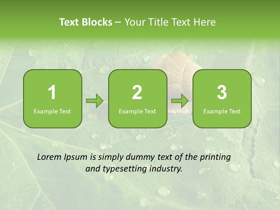 Snail On A Leaf PowerPoint Template