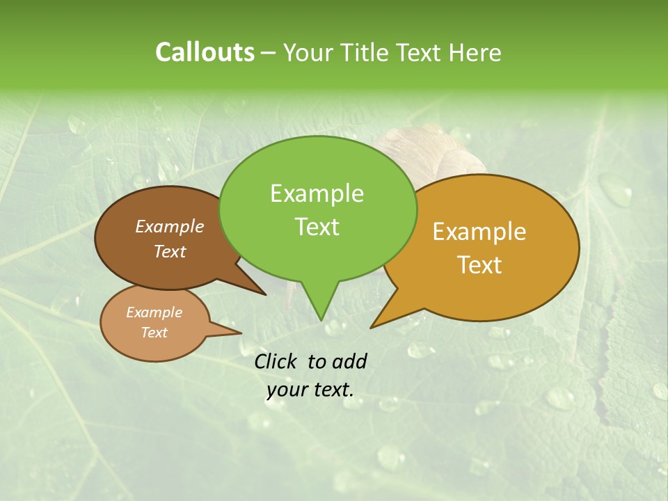 Snail On A Leaf PowerPoint Template