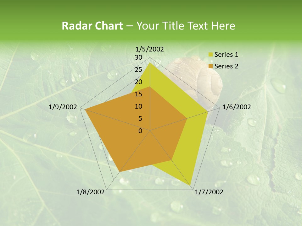 Snail On A Leaf PowerPoint Template