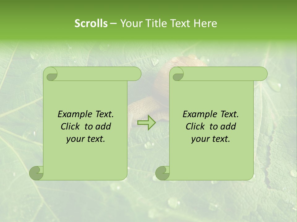 Snail On A Leaf PowerPoint Template