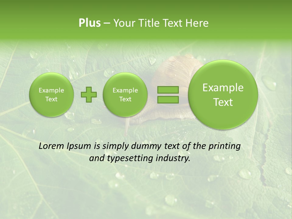 Snail On A Leaf PowerPoint Template