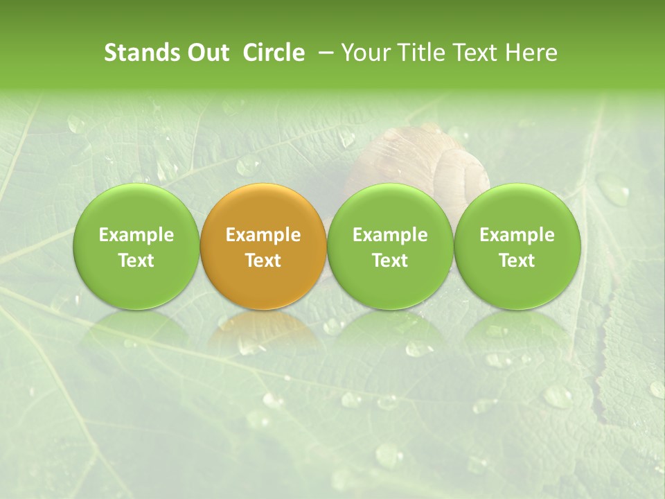 Snail On A Leaf PowerPoint Template