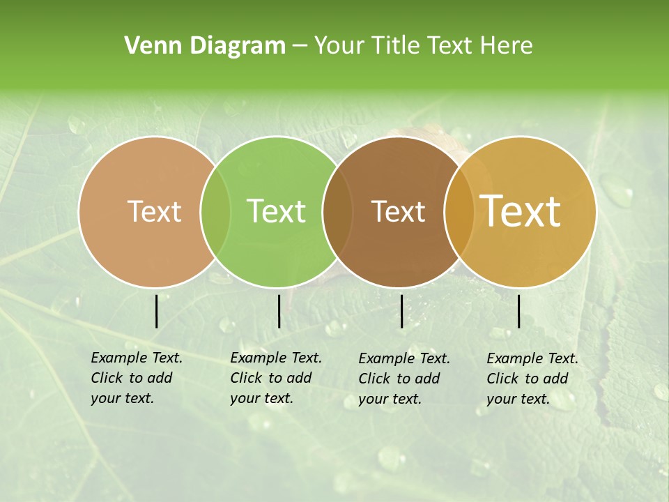 Snail On A Leaf PowerPoint Template