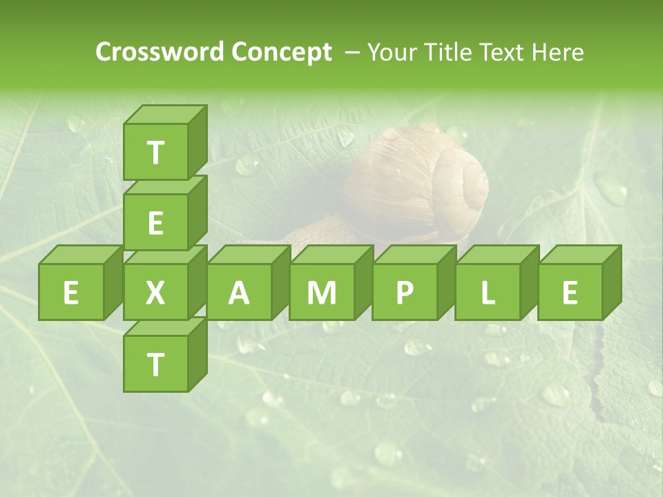 Snail On A Leaf PowerPoint Template