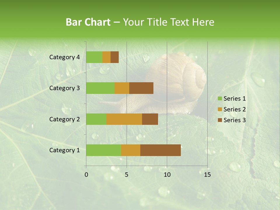 Snail On A Leaf PowerPoint Template