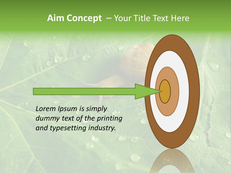 Snail On A Leaf PowerPoint Template