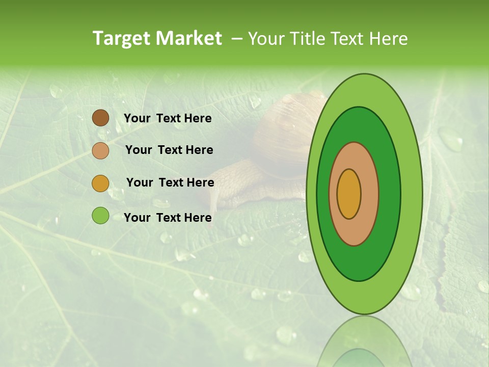 Snail On A Leaf PowerPoint Template