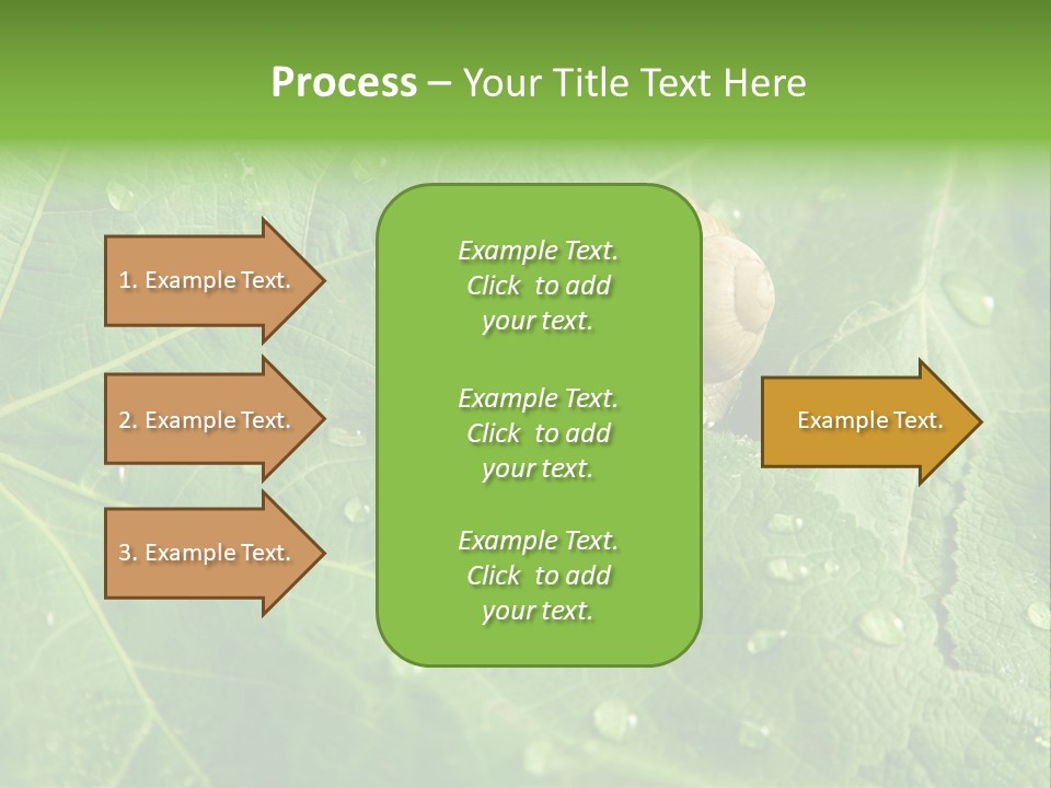 Snail On A Leaf PowerPoint Template