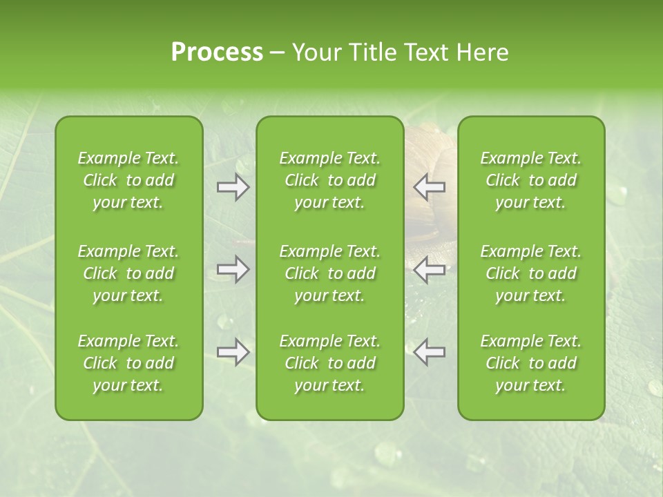 Snail On A Leaf PowerPoint Template