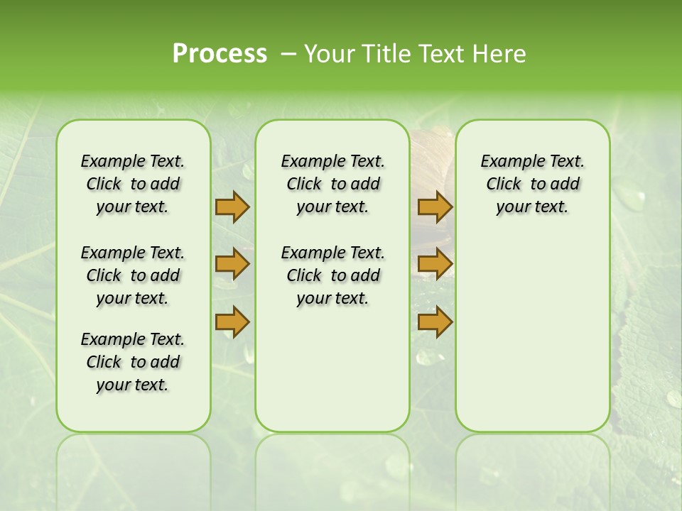 Snail On A Leaf PowerPoint Template