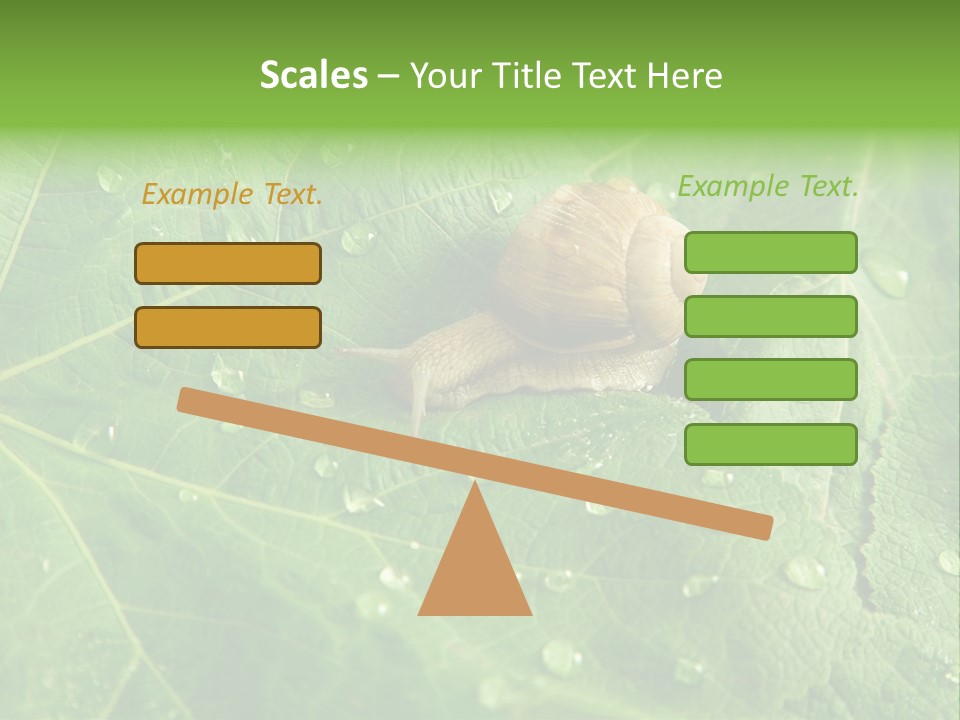 Snail On A Leaf PowerPoint Template