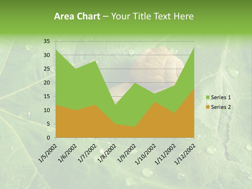 Snail On A Leaf PowerPoint Template