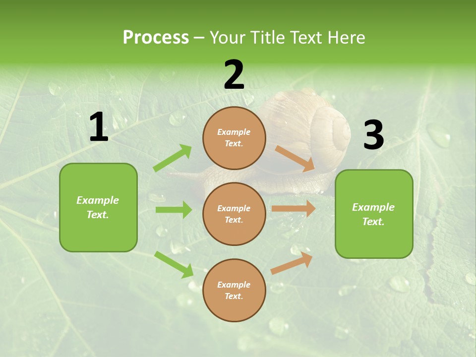 Snail On A Leaf PowerPoint Template