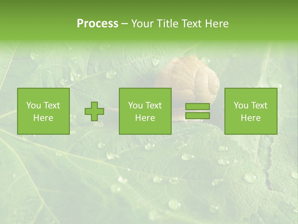 Snail On A Leaf PowerPoint Template