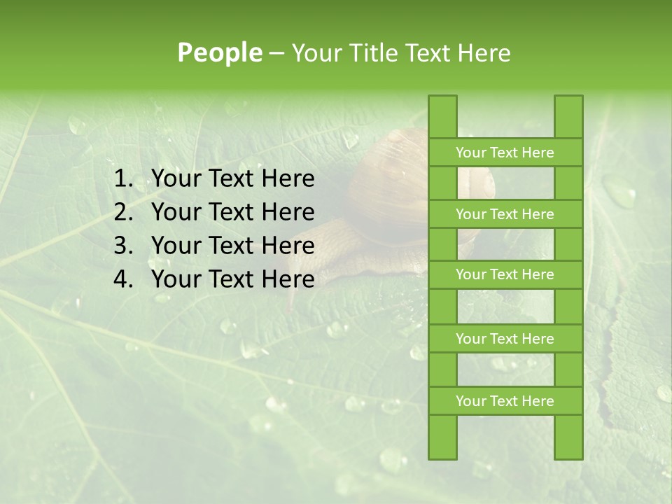 Snail On A Leaf PowerPoint Template