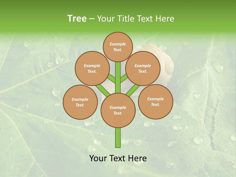 Snail On A Leaf PowerPoint Template