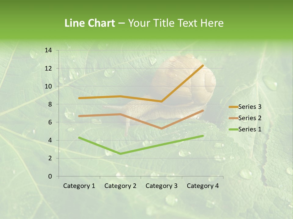 Snail On A Leaf PowerPoint Template