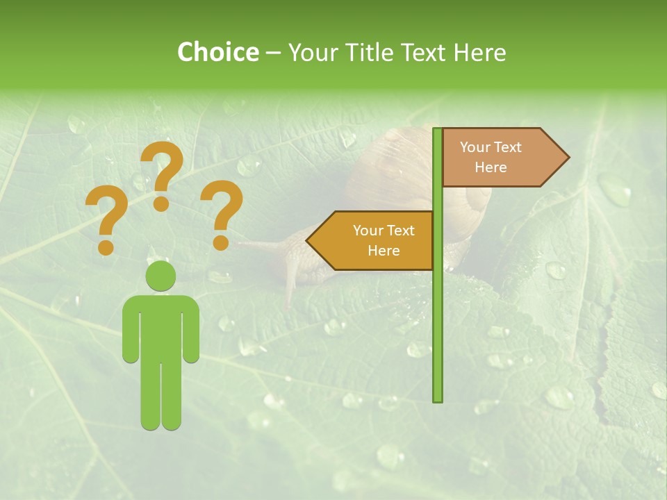 Snail On A Leaf PowerPoint Template