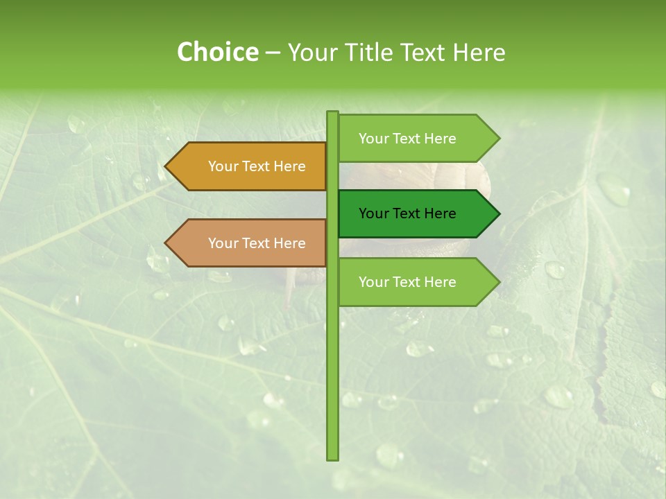 Snail On A Leaf PowerPoint Template