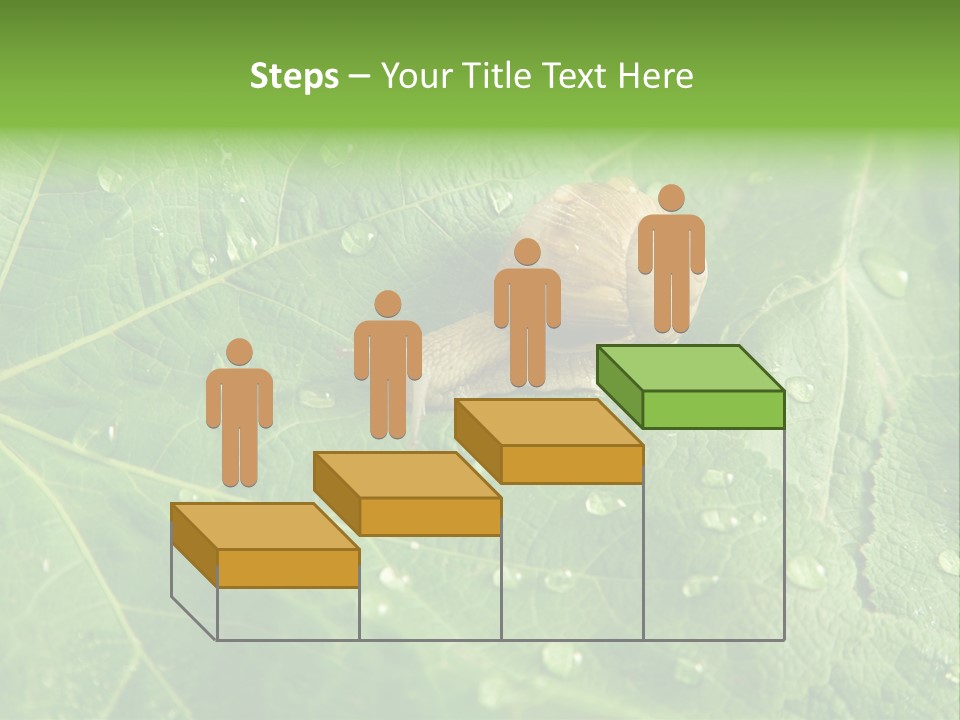 Snail On A Leaf PowerPoint Template