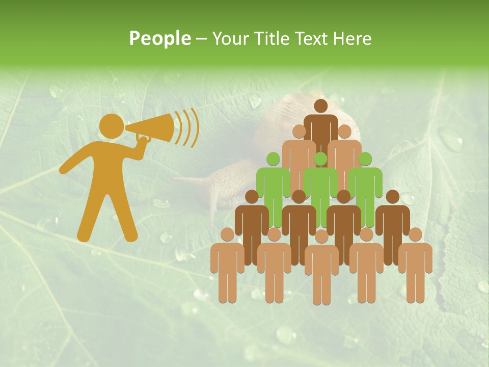Snail On A Leaf PowerPoint Template