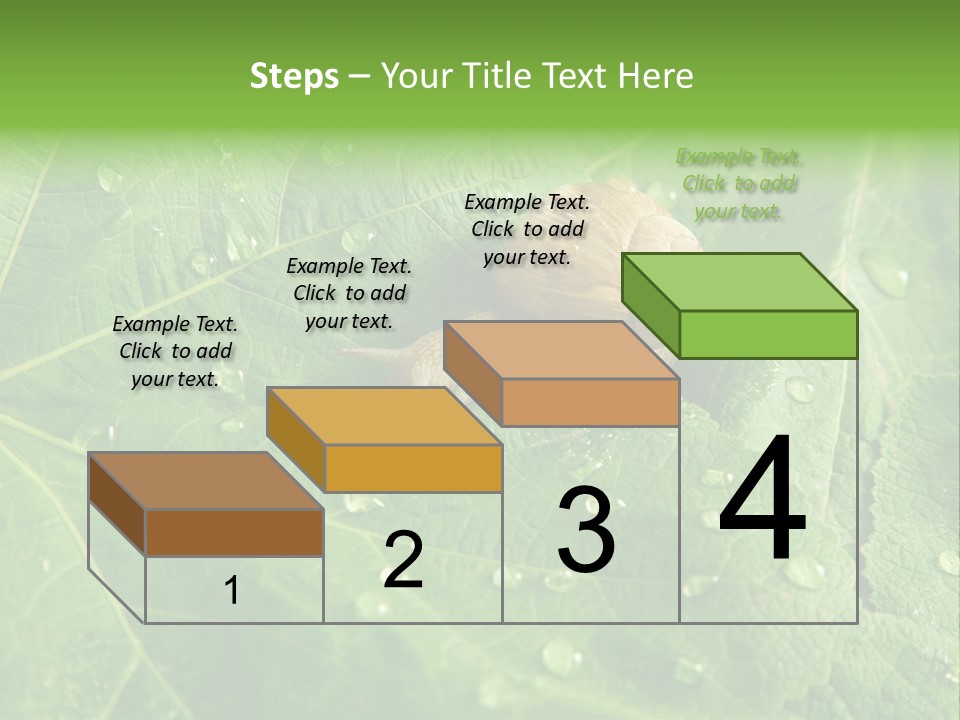 Snail On A Leaf PowerPoint Template