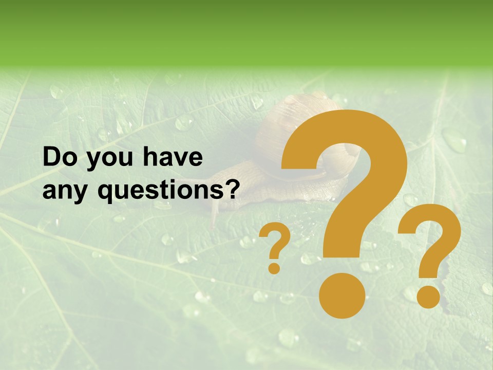 Snail On A Leaf PowerPoint Template