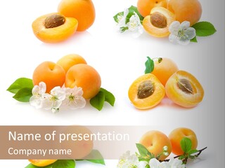 Fruits Flowers PowerPoint Template