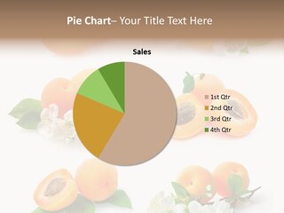 Fruits Flowers PowerPoint Template