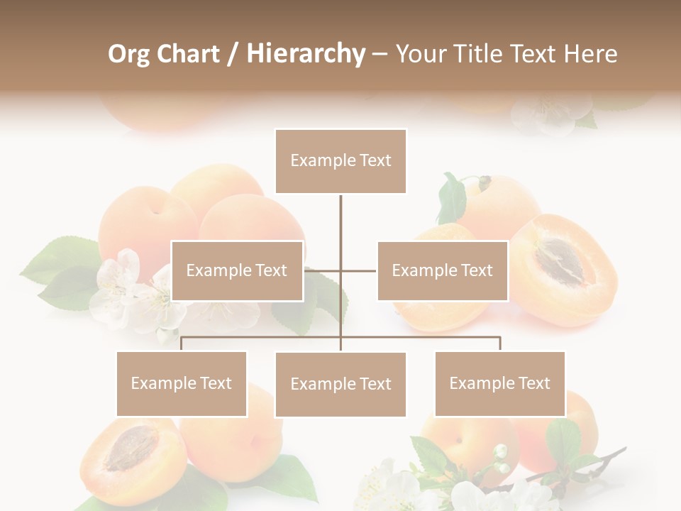 Fruits Flowers PowerPoint Template