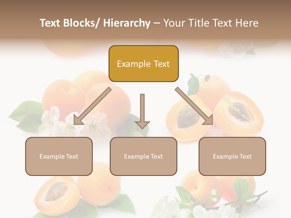 Fruits Flowers PowerPoint Template