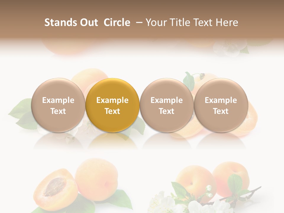 Fruits Flowers PowerPoint Template
