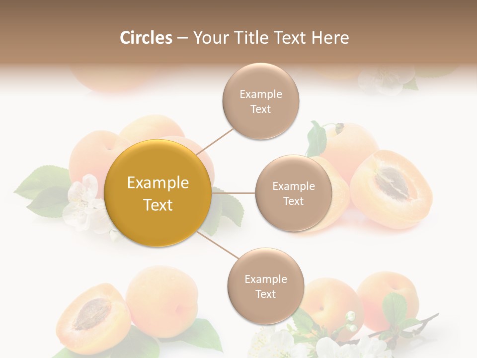 Fruits Flowers PowerPoint Template