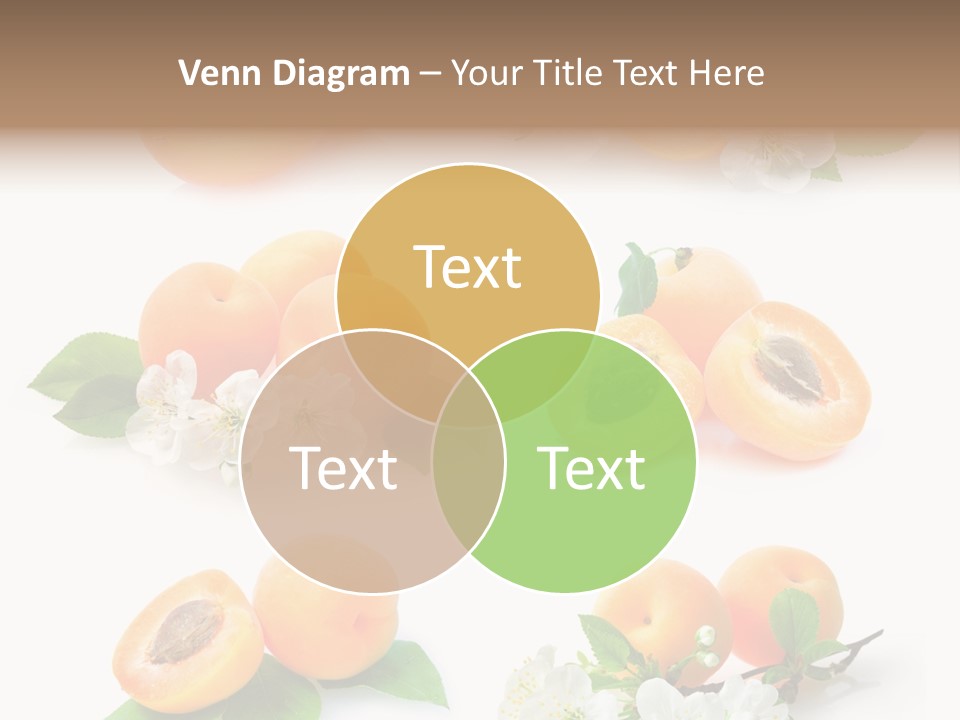 Fruits Flowers PowerPoint Template