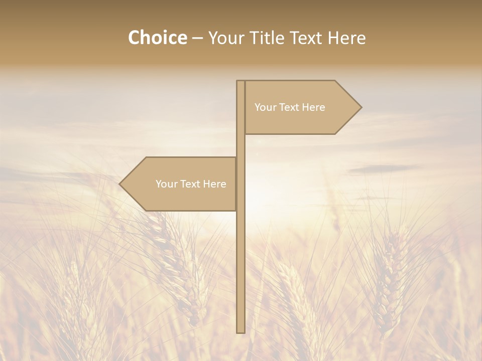 Agriculture Clear Clouds PowerPoint Template