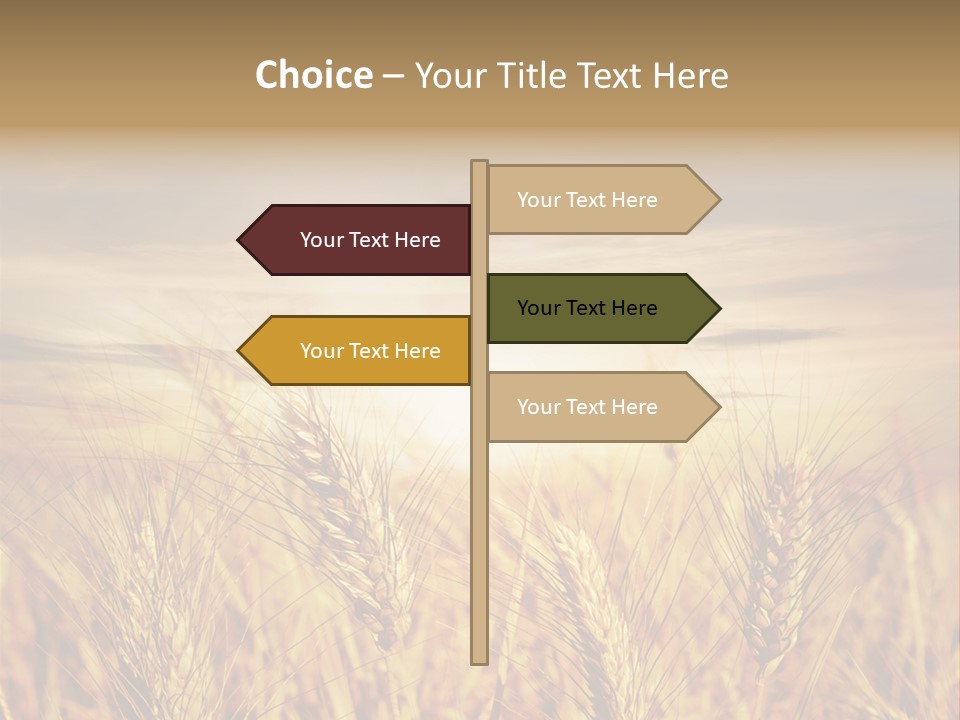 Agriculture Clear Clouds PowerPoint Template
