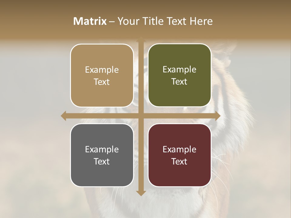 Siberian Tiger PowerPoint Template