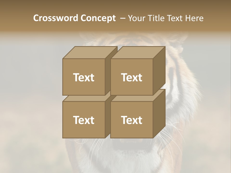 Siberian Tiger PowerPoint Template