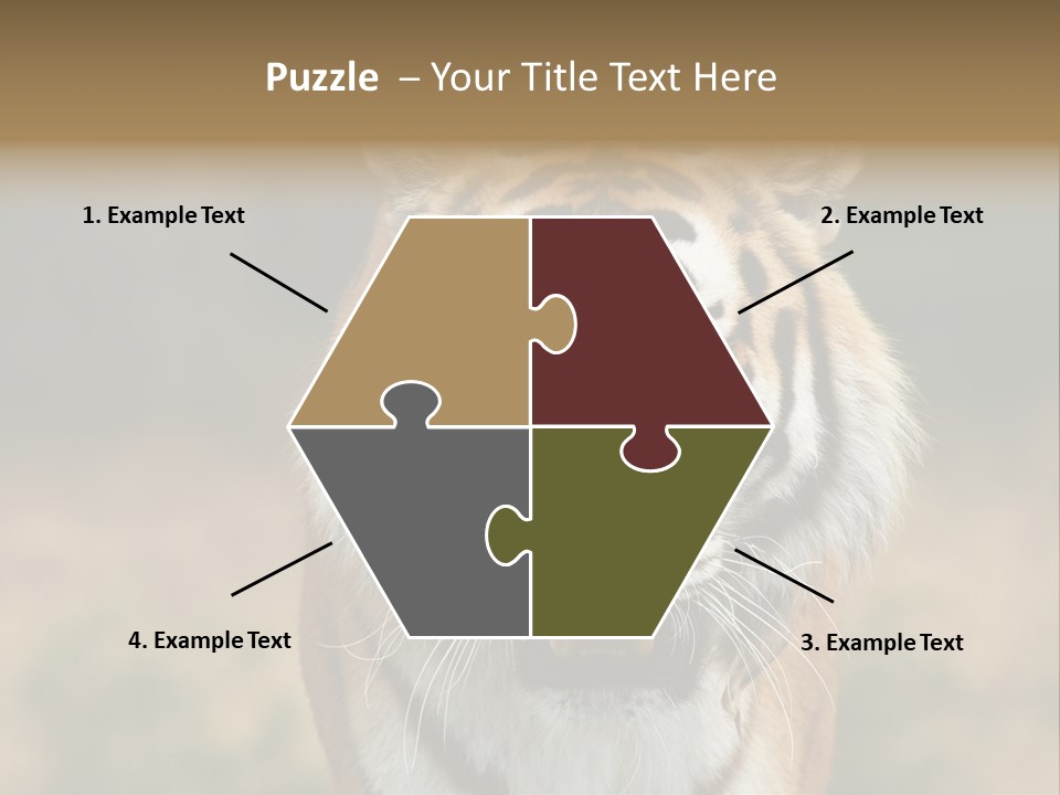 Siberian Tiger PowerPoint Template