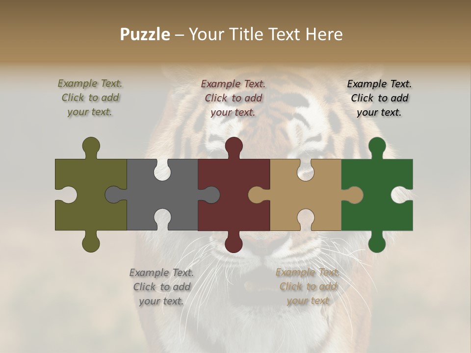 Siberian Tiger PowerPoint Template