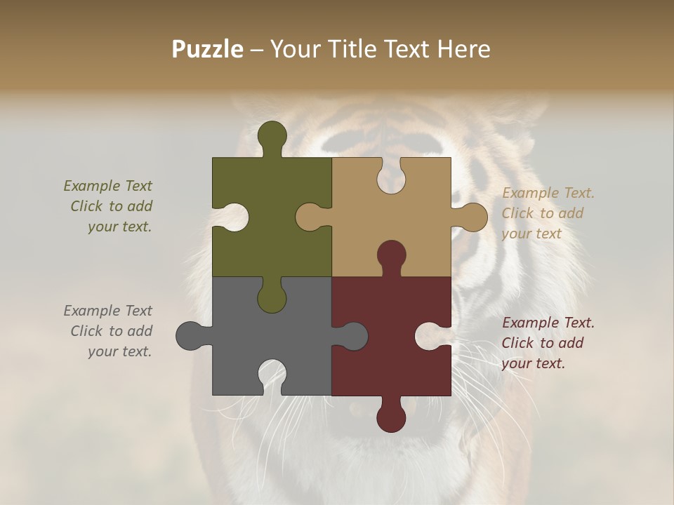 Siberian Tiger PowerPoint Template