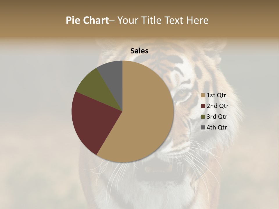 Siberian Tiger PowerPoint Template