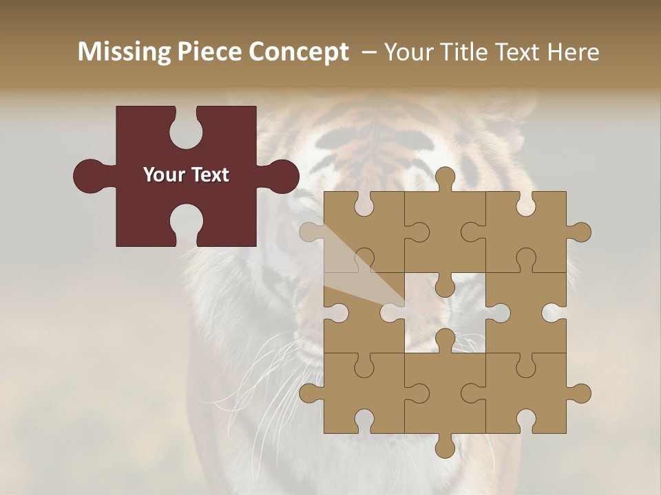 Siberian Tiger PowerPoint Template