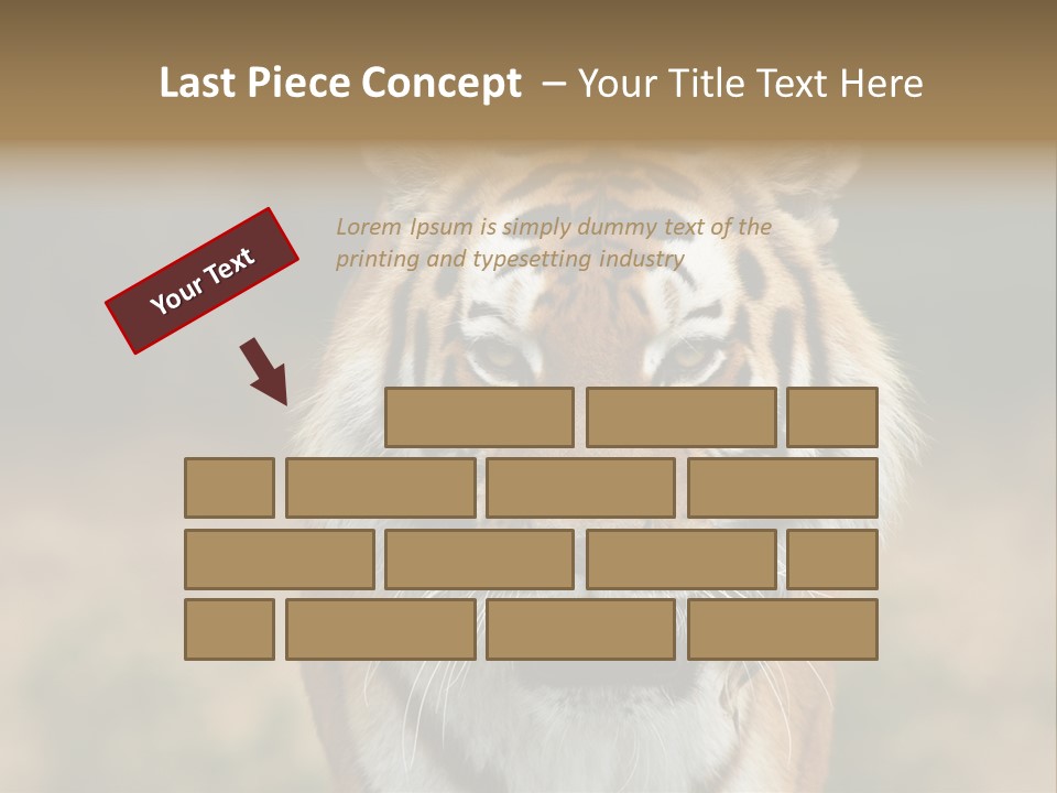 Siberian Tiger PowerPoint Template
