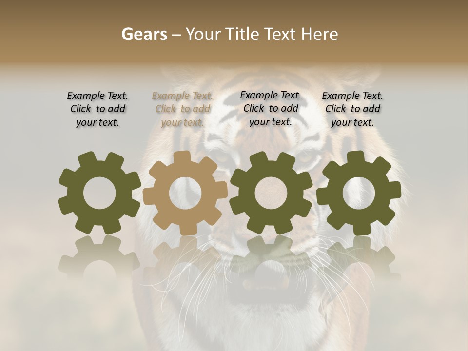 Siberian Tiger PowerPoint Template