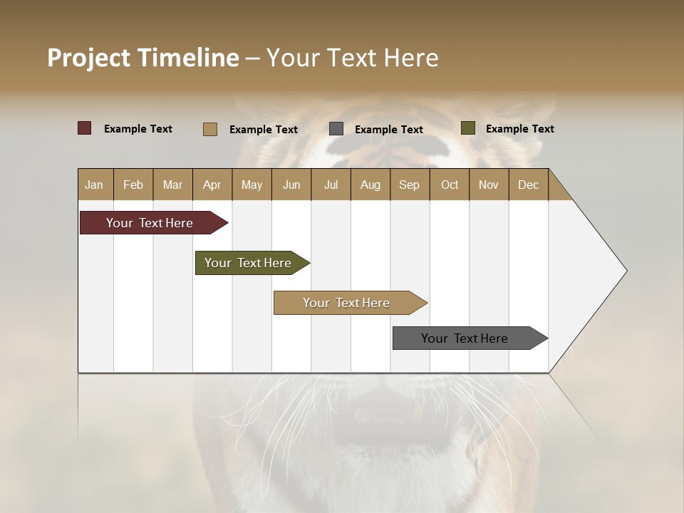 Siberian Tiger PowerPoint Template
