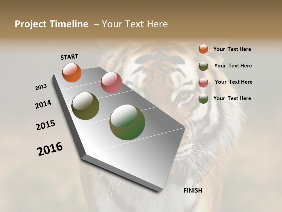 Siberian Tiger PowerPoint Template