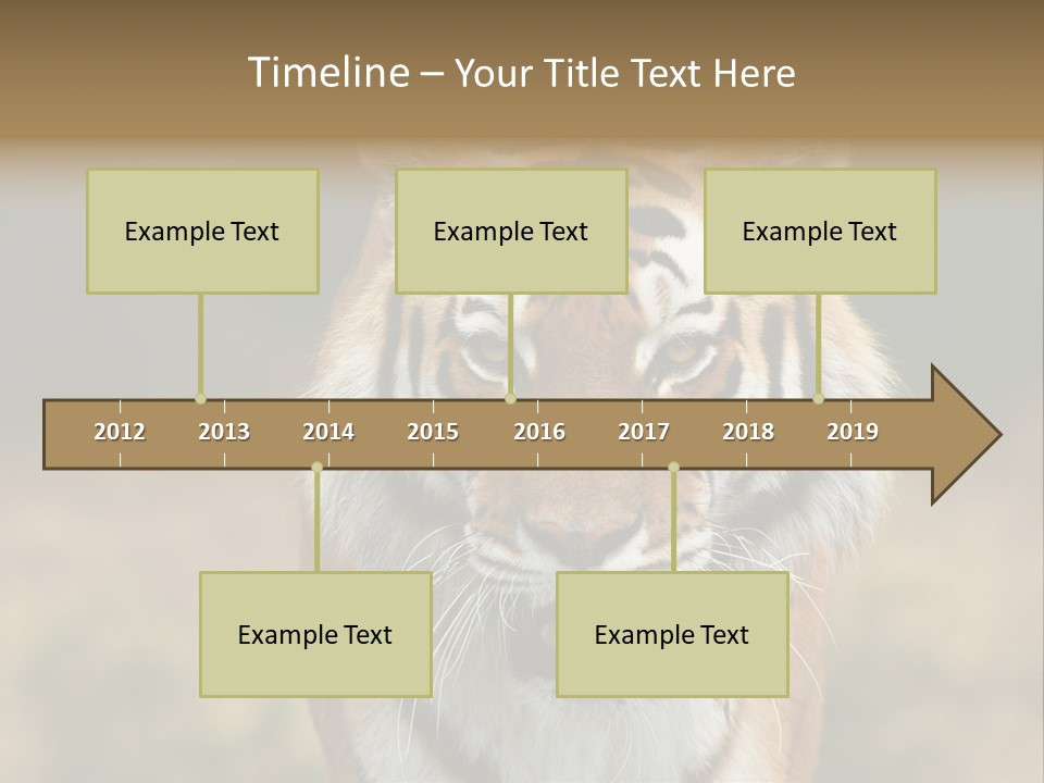 Siberian Tiger PowerPoint Template